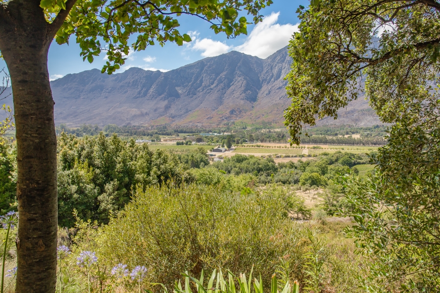 To Let 3 Bedroom Property for Rent in Franschhoek Rural Western Cape